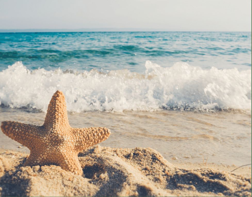 Ocean waves crashing on the shore with a starfish standing up in the sand.